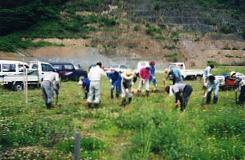 地域住民が植栽している写真
