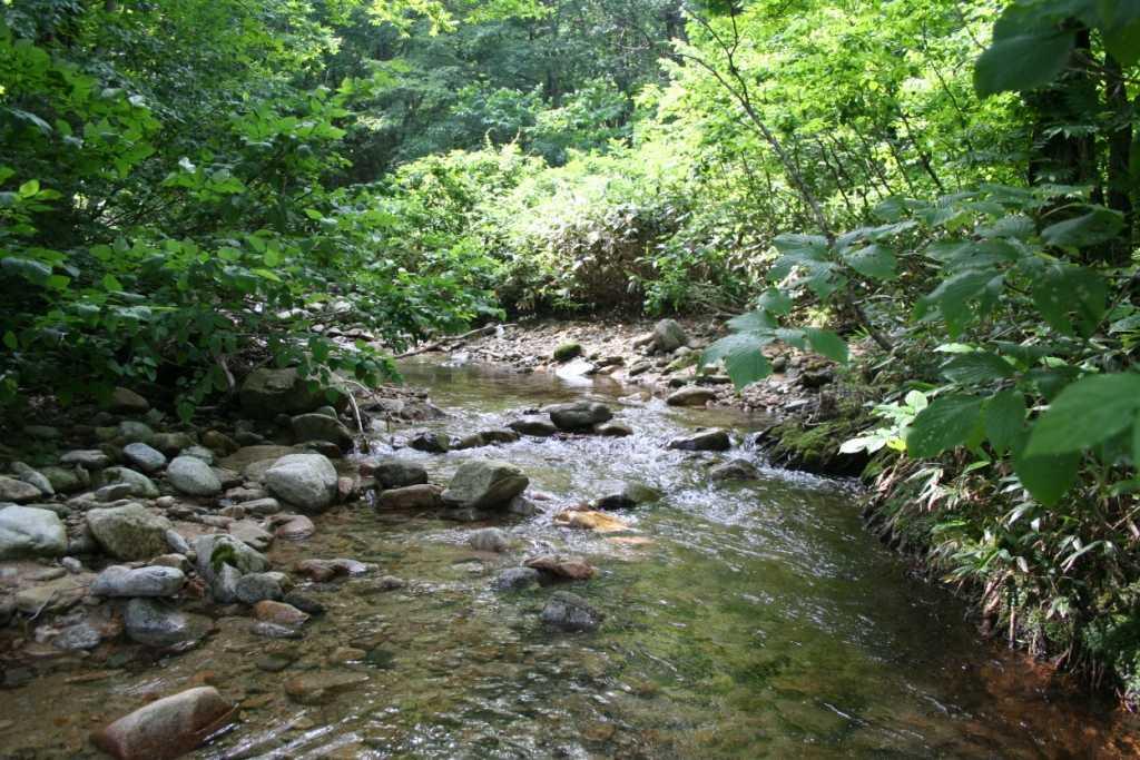 沢を渡るの写真