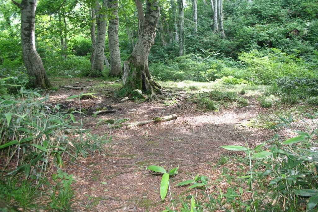 桑住平の写真