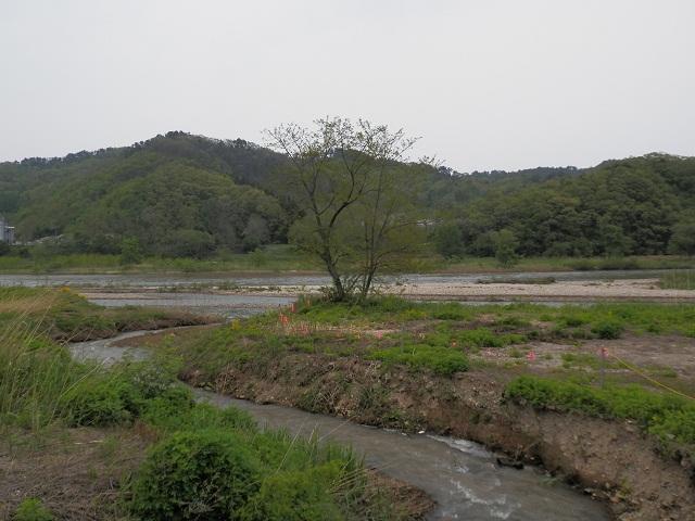 合流点の写真