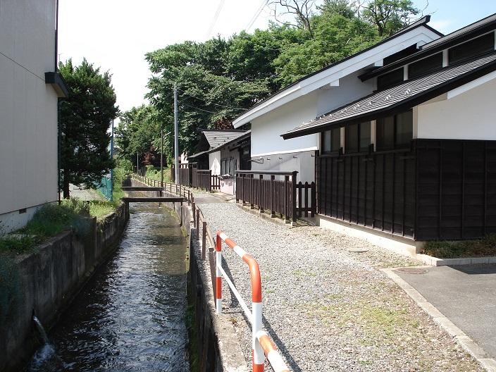 みずはの小道の写真