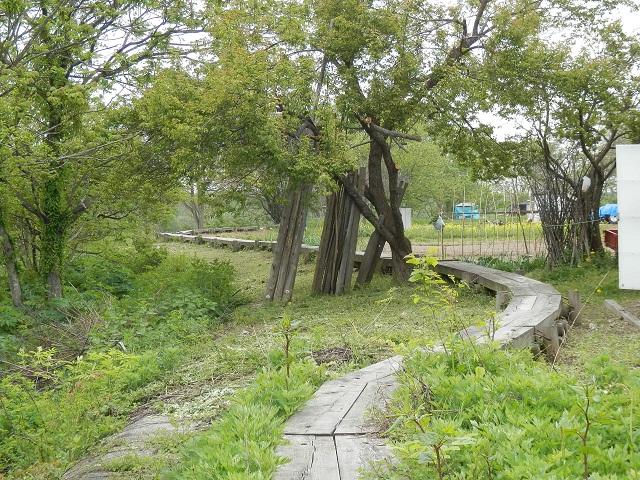 木道の写真