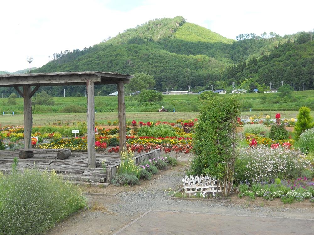 河川緑地公園の写真