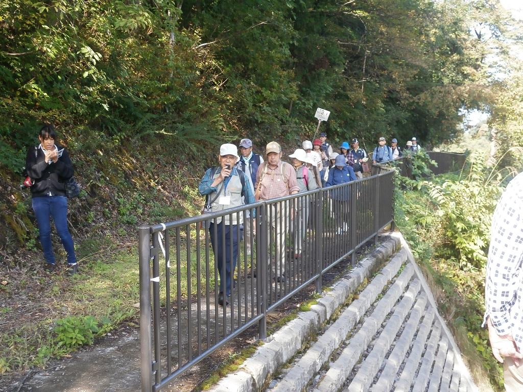 トロッコ道の写真