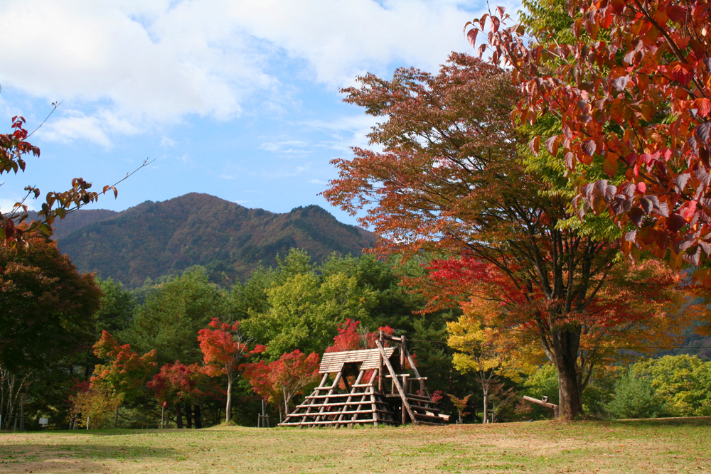 周りに紅葉している木々があり、奥にアスレチックのような遊具が見える太陽の広場の写真