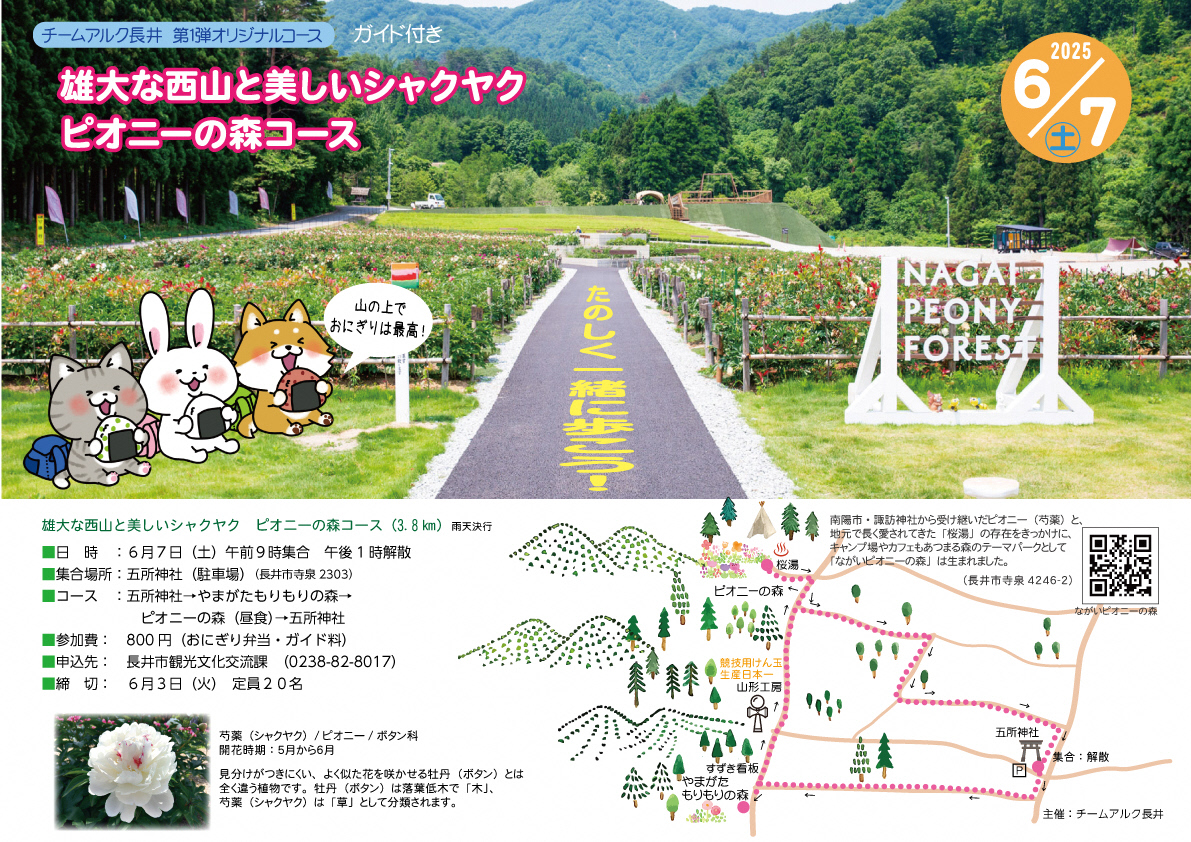 チームアルク長井まち歩きを開催します