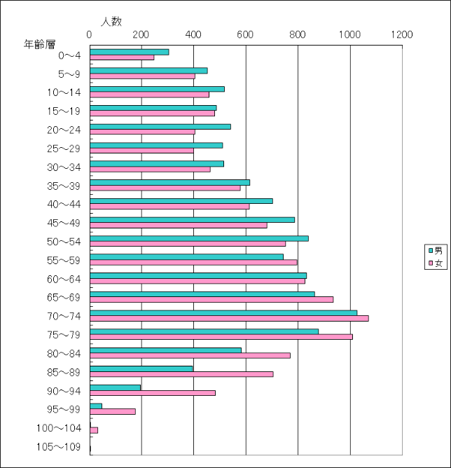 令和7年6月末日人口ピラミッド