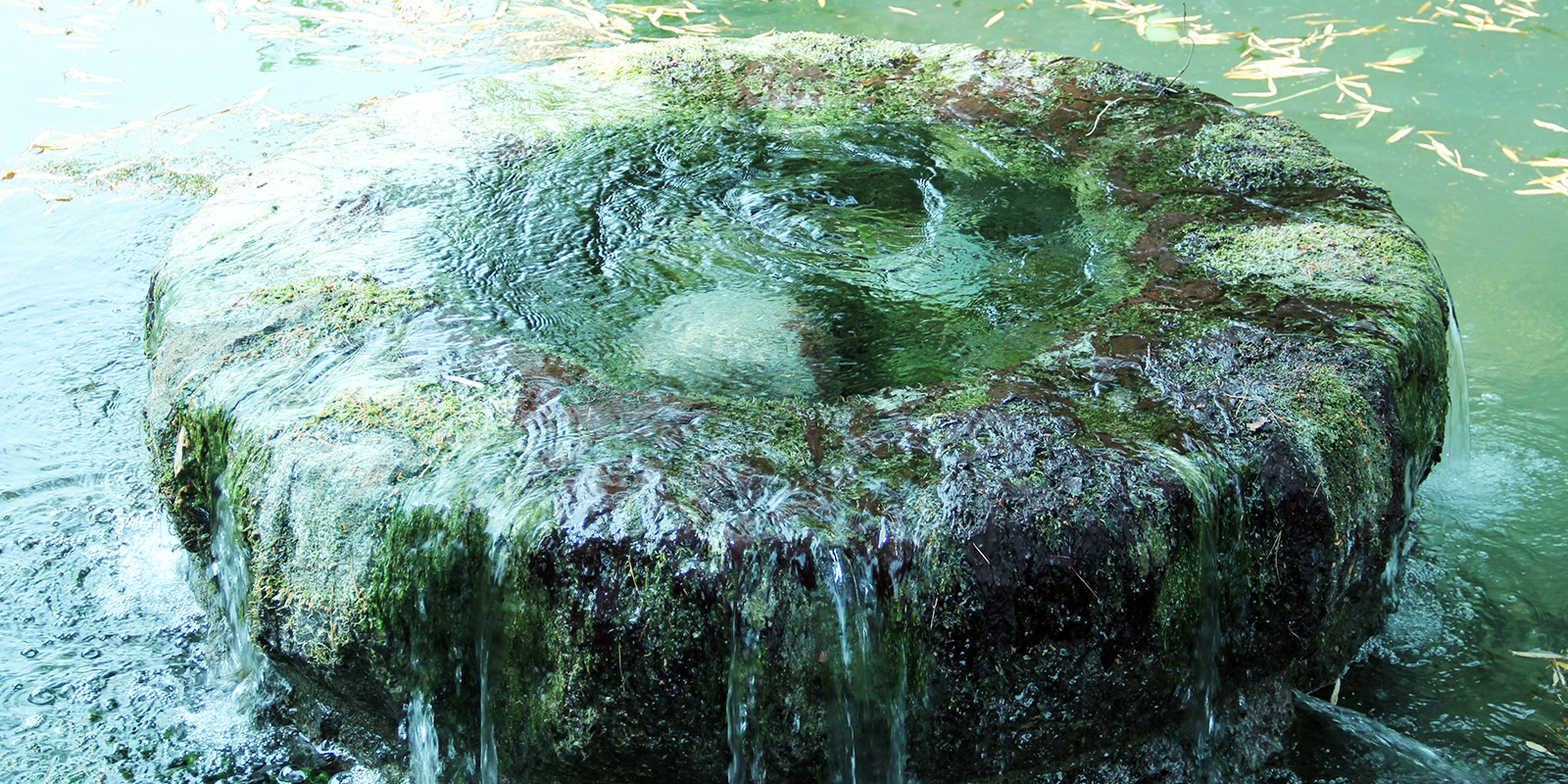 あやめ公園湧水