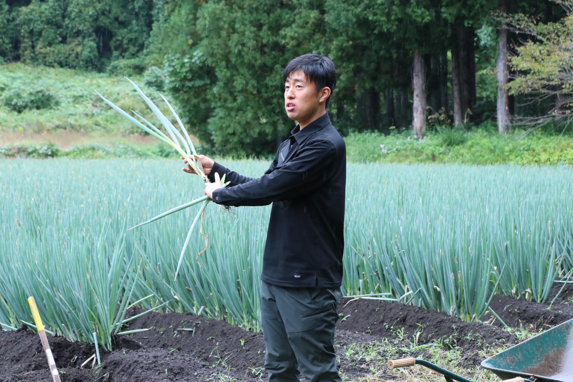 ねぎ生産者平さん