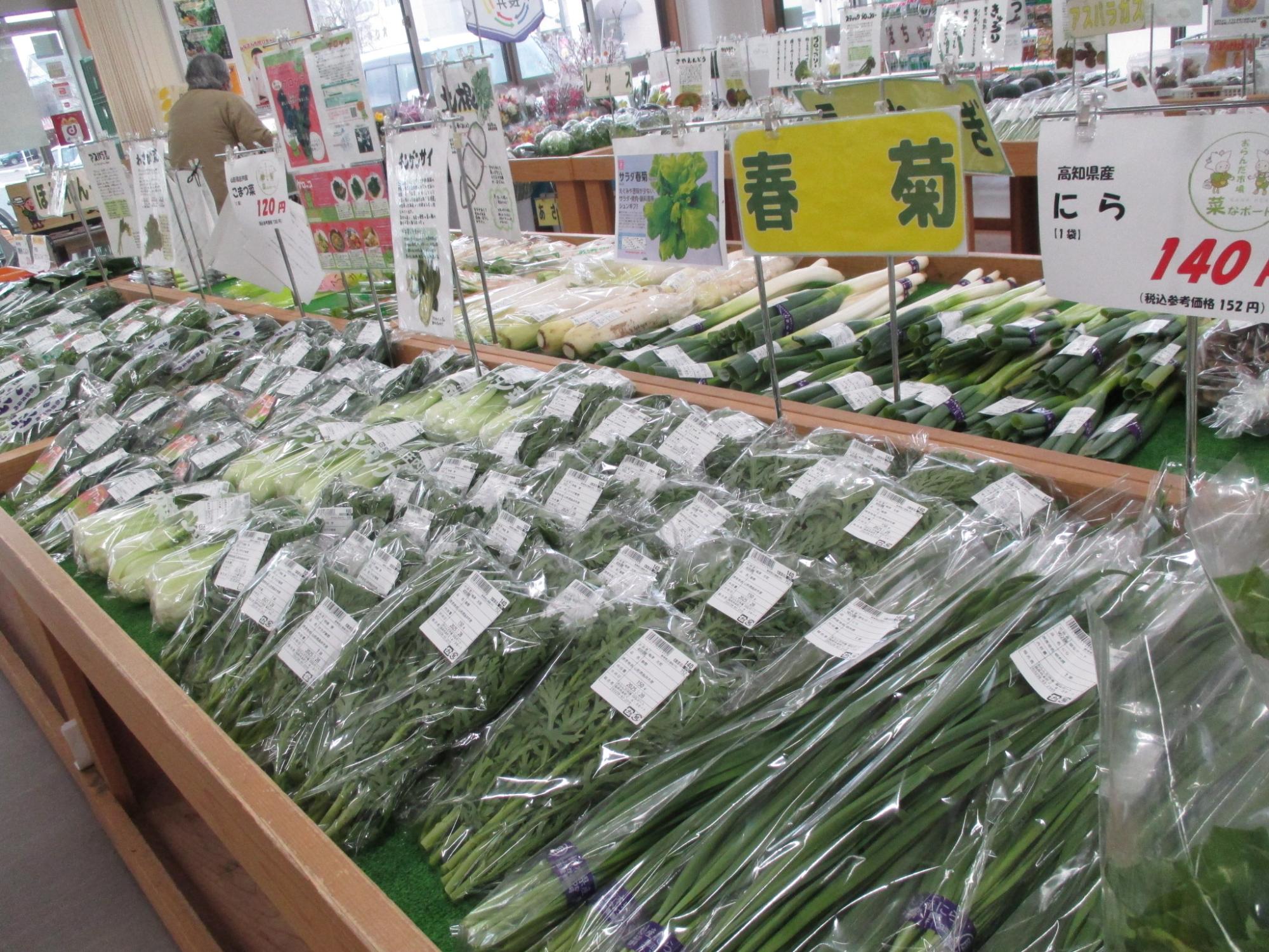 菜なポート野菜