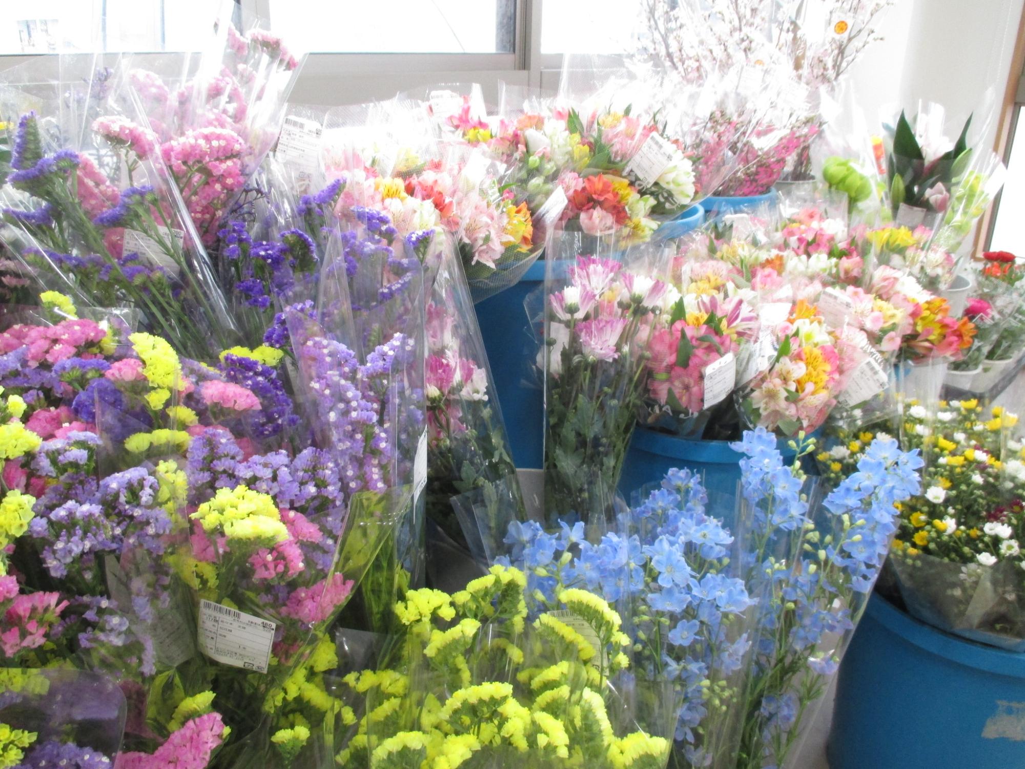 菜なポート花