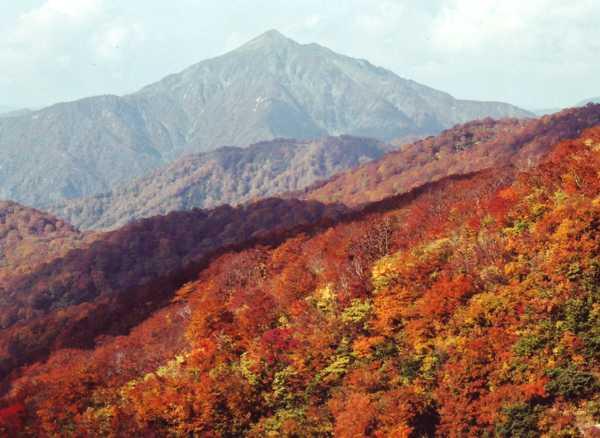 葉山から望む祝瓶山の写真