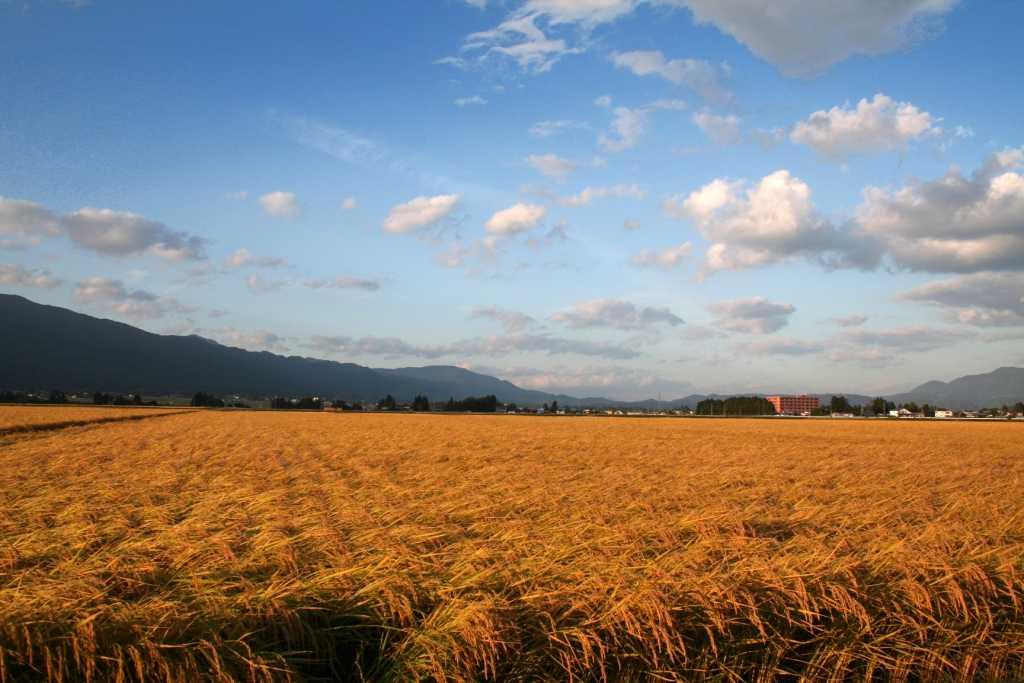 西根地区の田園風景の写真