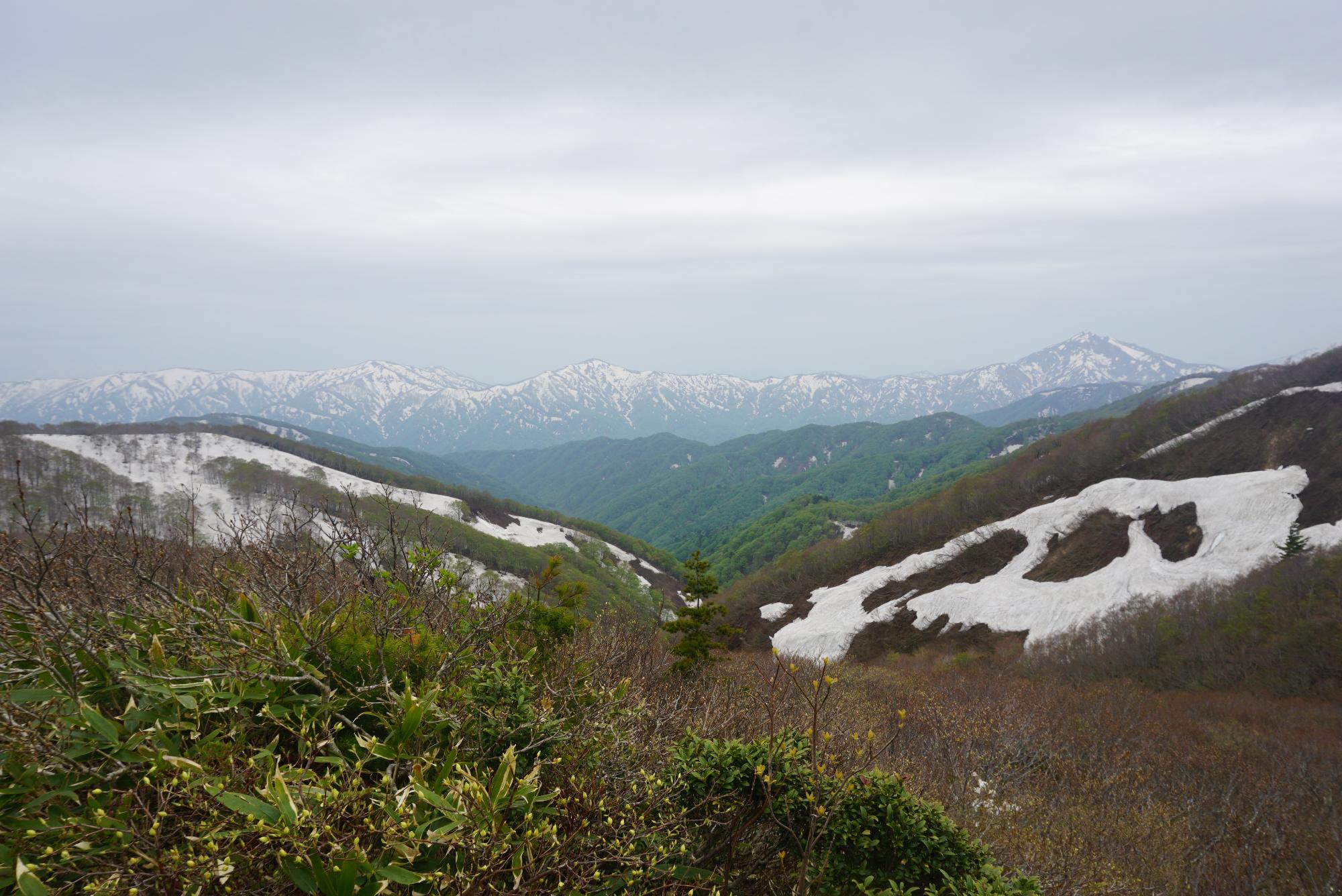 5月の朝日連峰