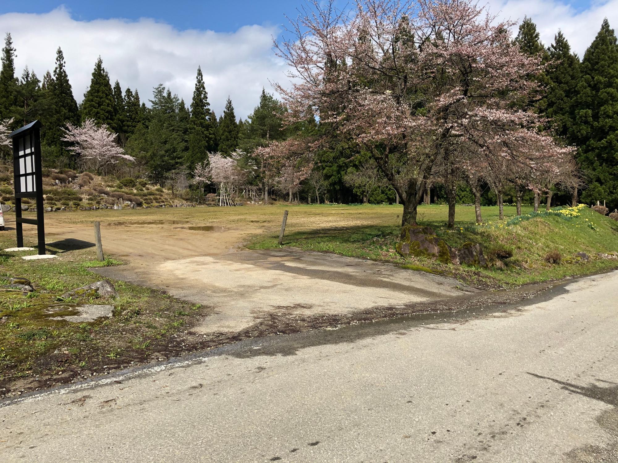 葉山森林公園の広場