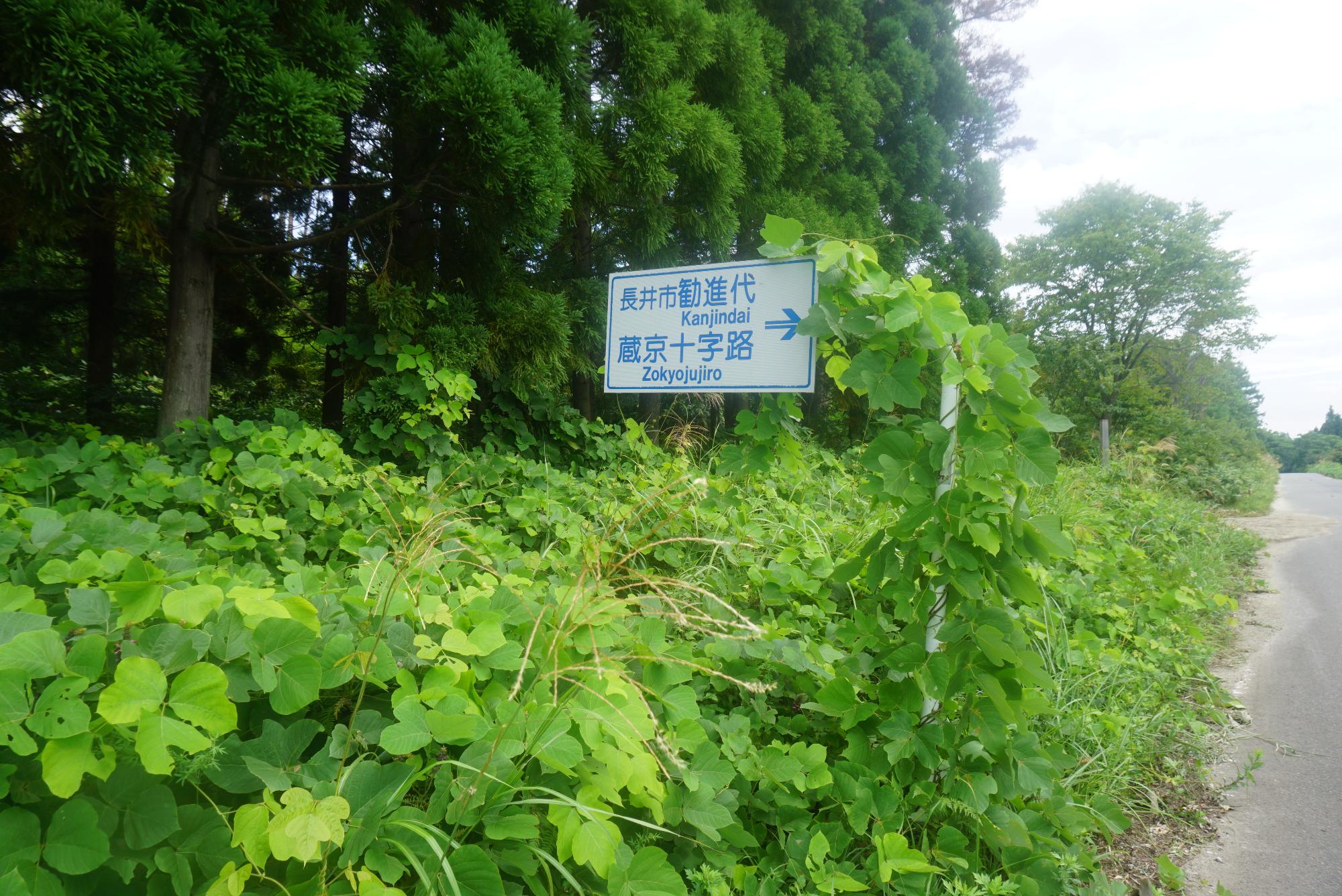 勧進代口道路標識