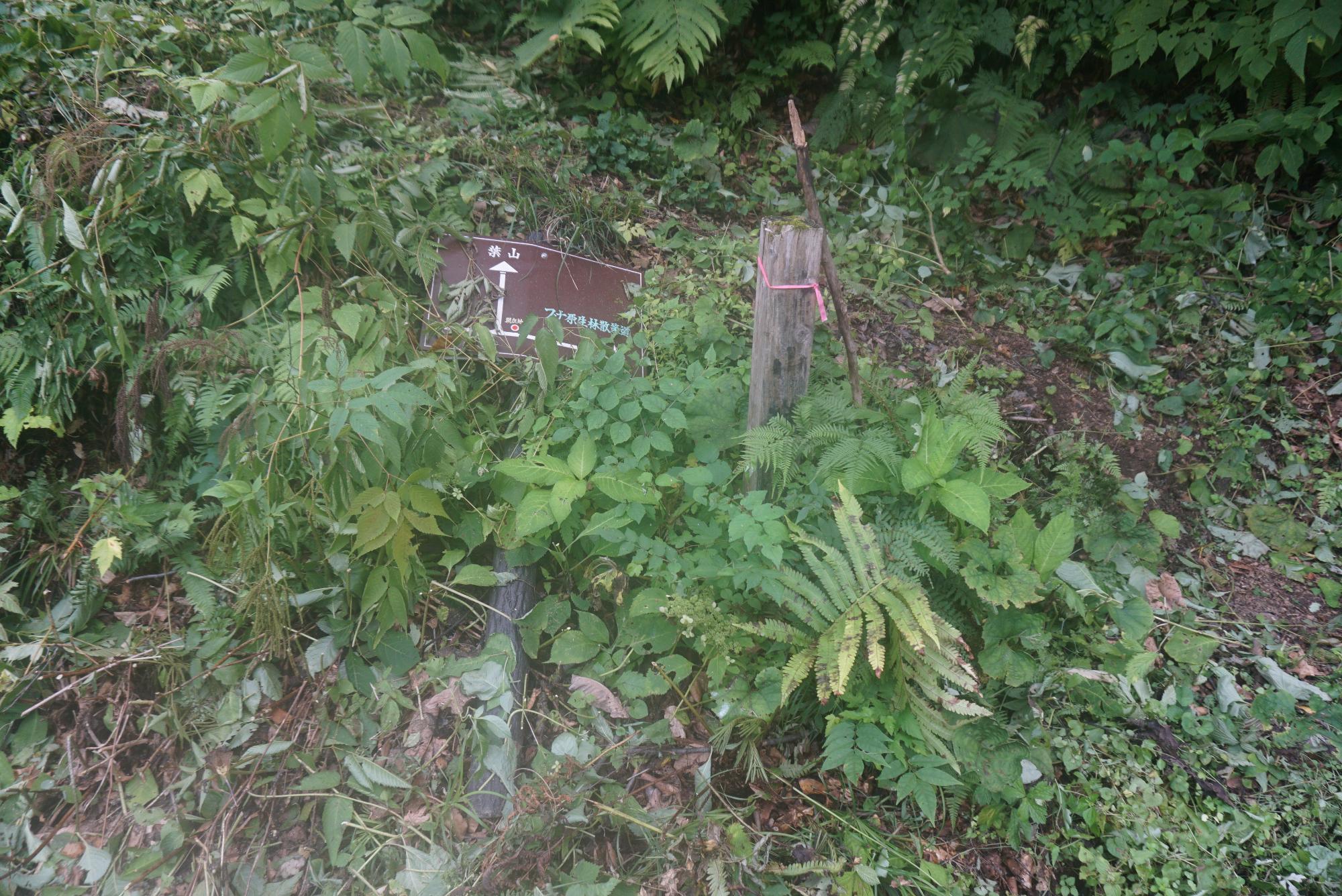 勧進代登山口