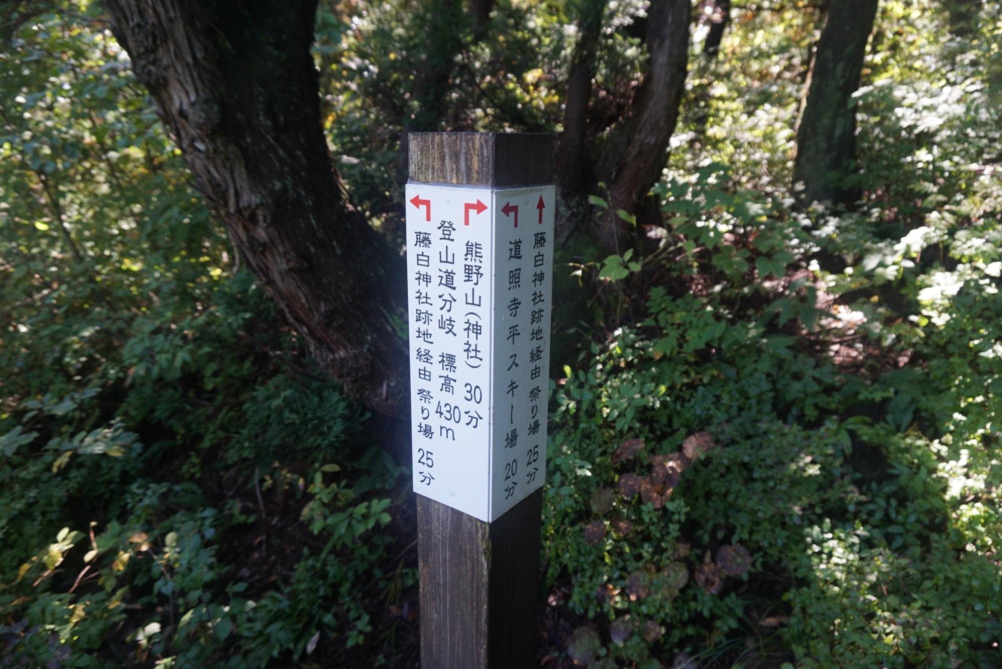 登山道分岐