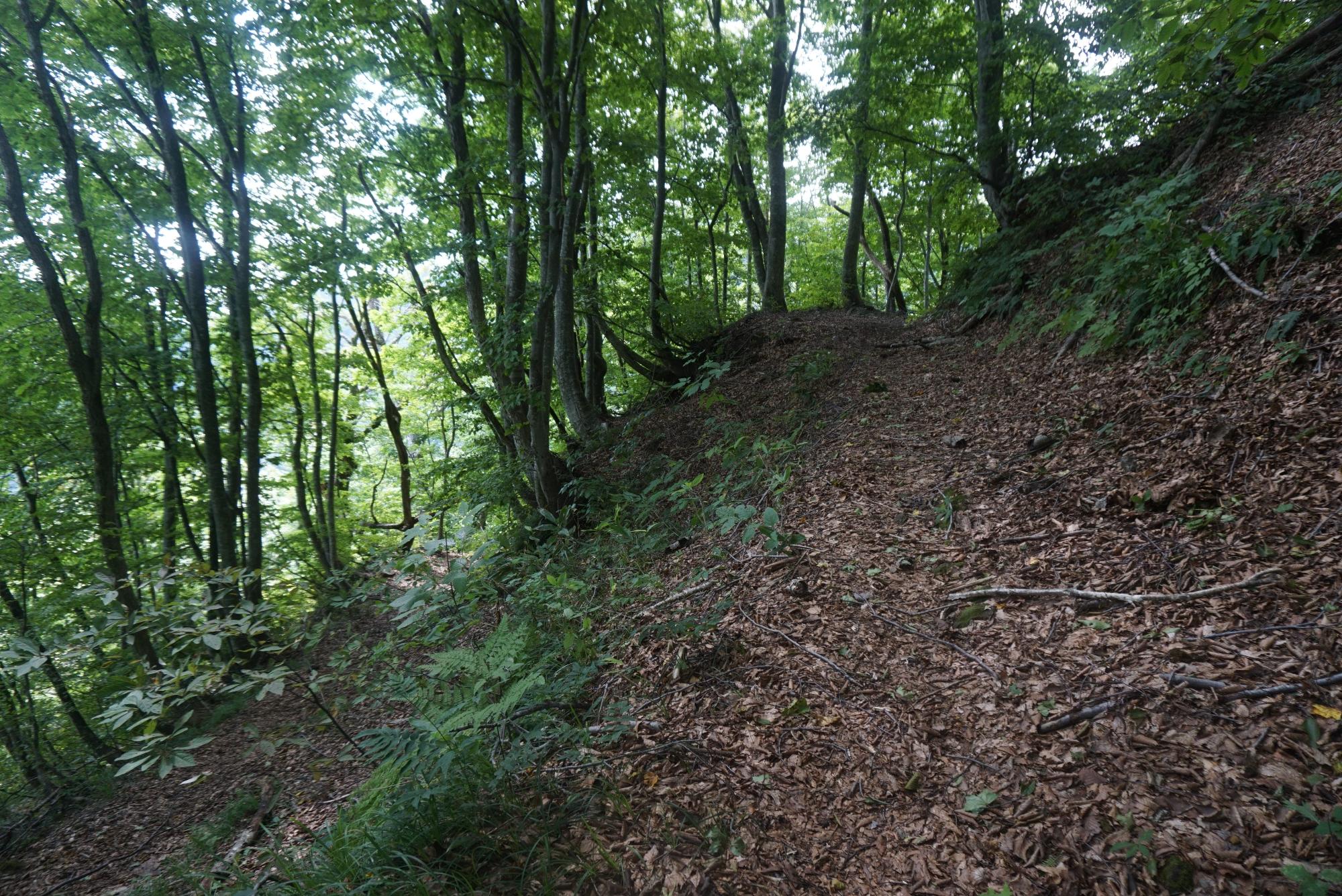 つづら折れの登山道