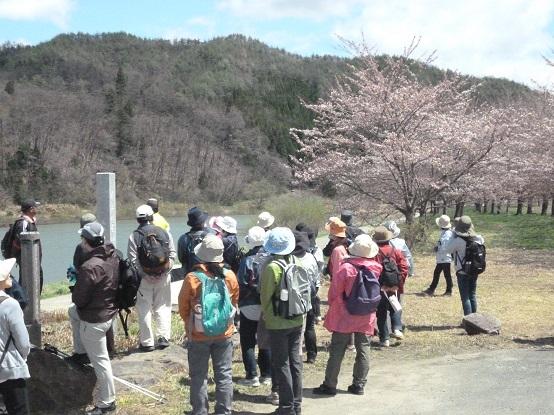 最上川ビューポイントの写真