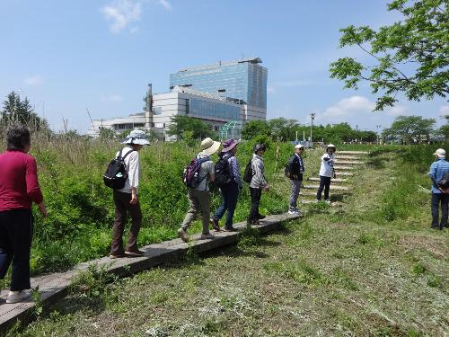 野呂川沿いの木道の写真