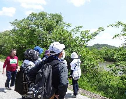 対岸の伊佐沢地区を望む写真