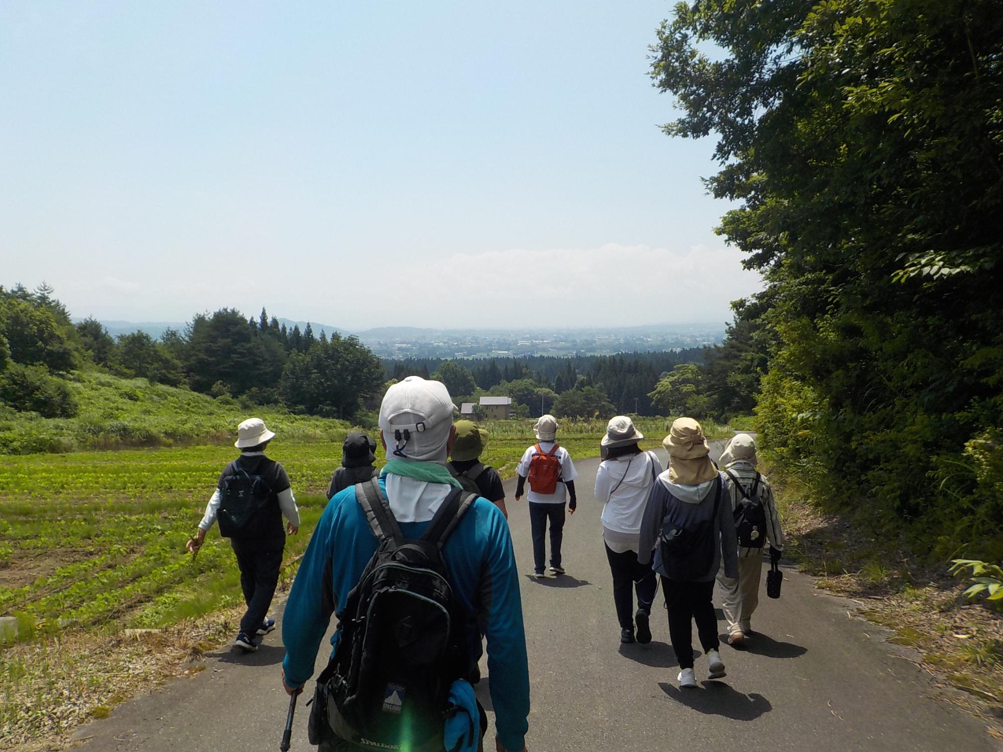 長井の風景