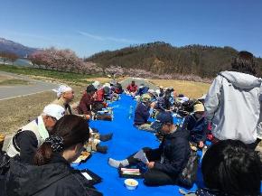 堤防に青いシートを広げて、参加者の方々が座り、お弁当を食べている昼食の様子の写真