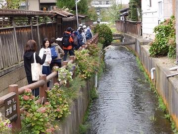 平野川の写真