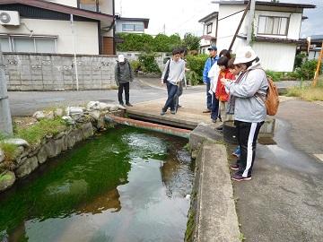 市内水路の写真