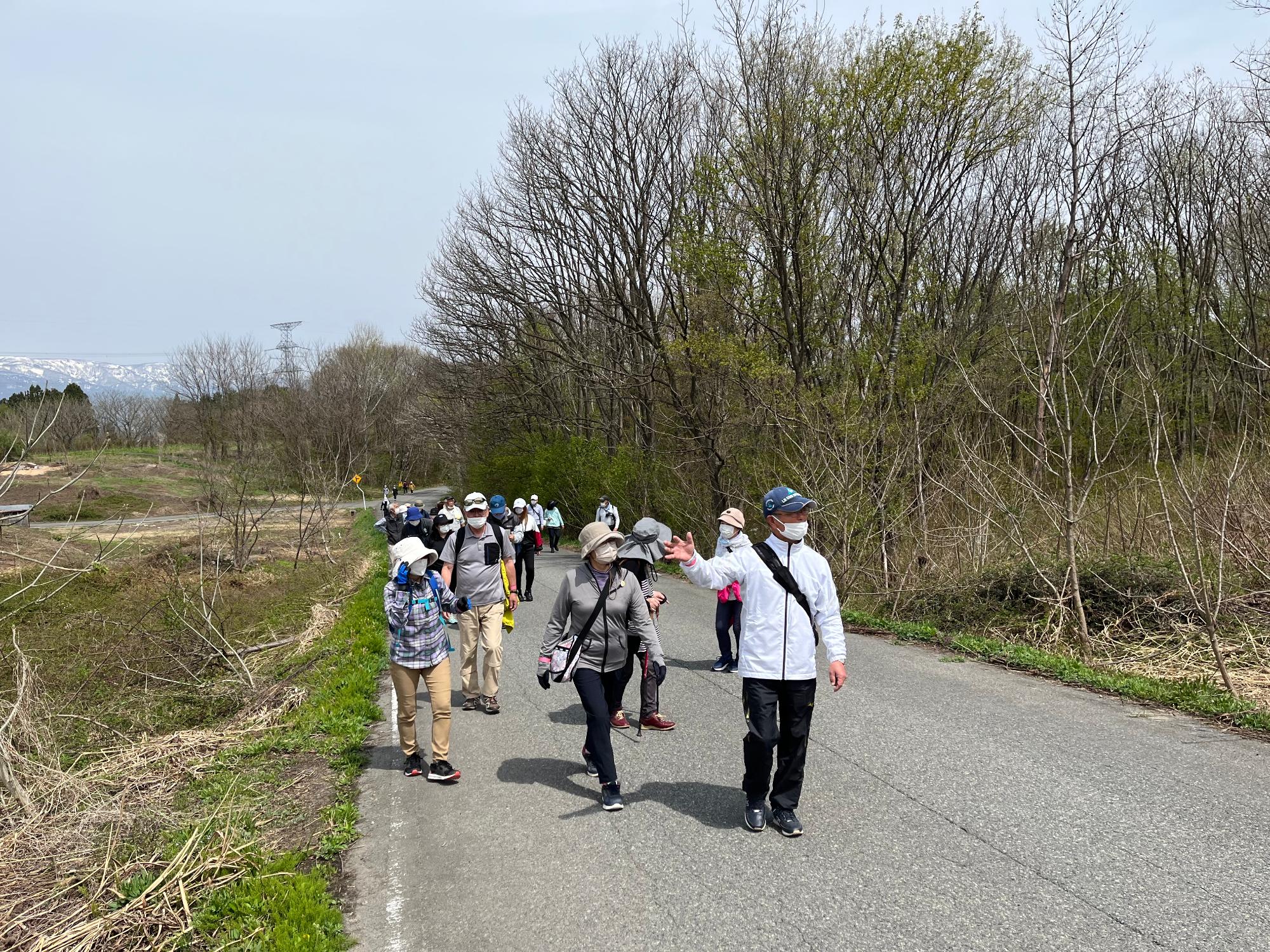 右側に木々がある道路を参加者の方々が歩いている様子の写真