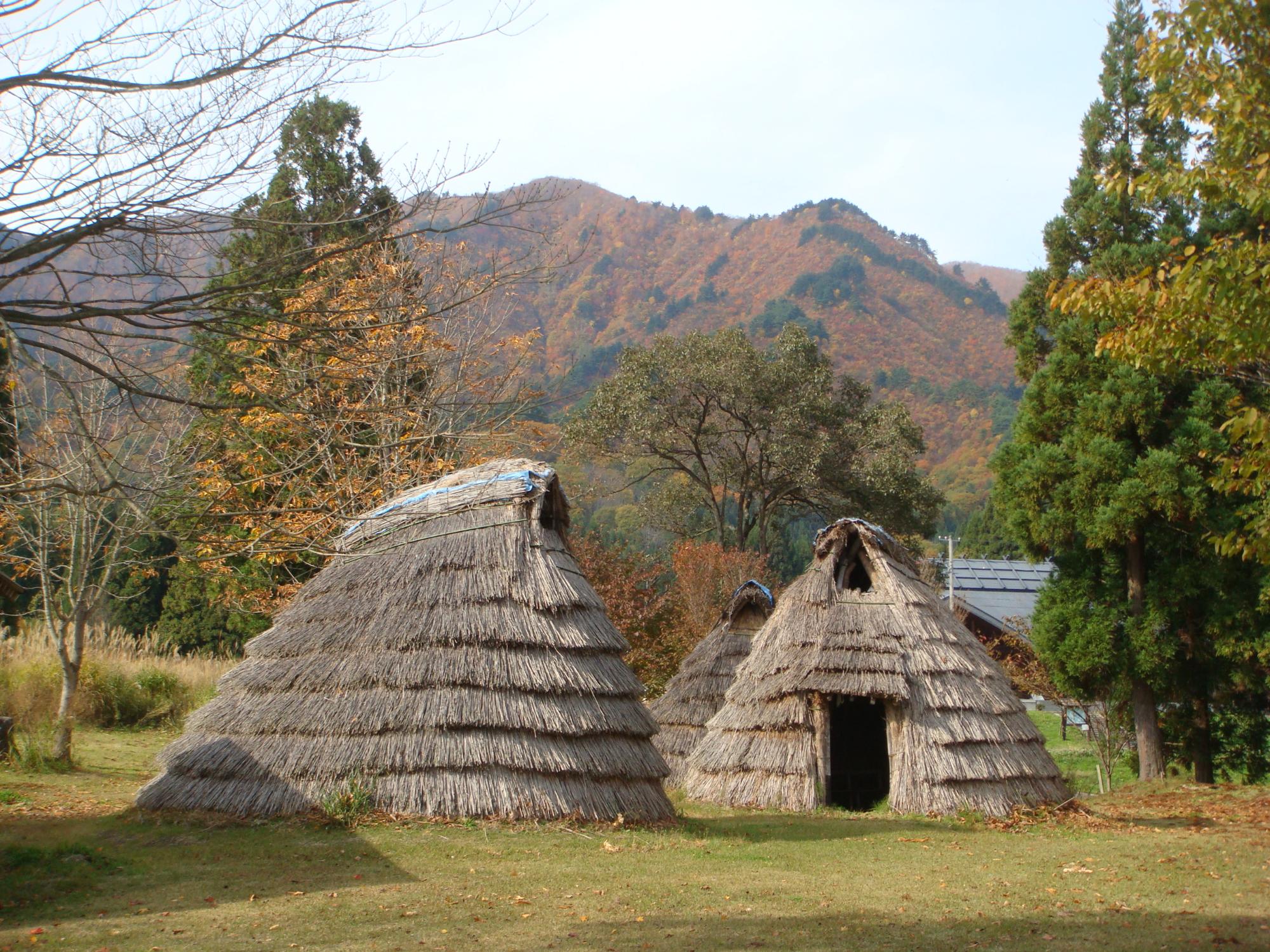 藁を使って復元されている縄文時代の住居がある長者屋敷遺跡公園の写真