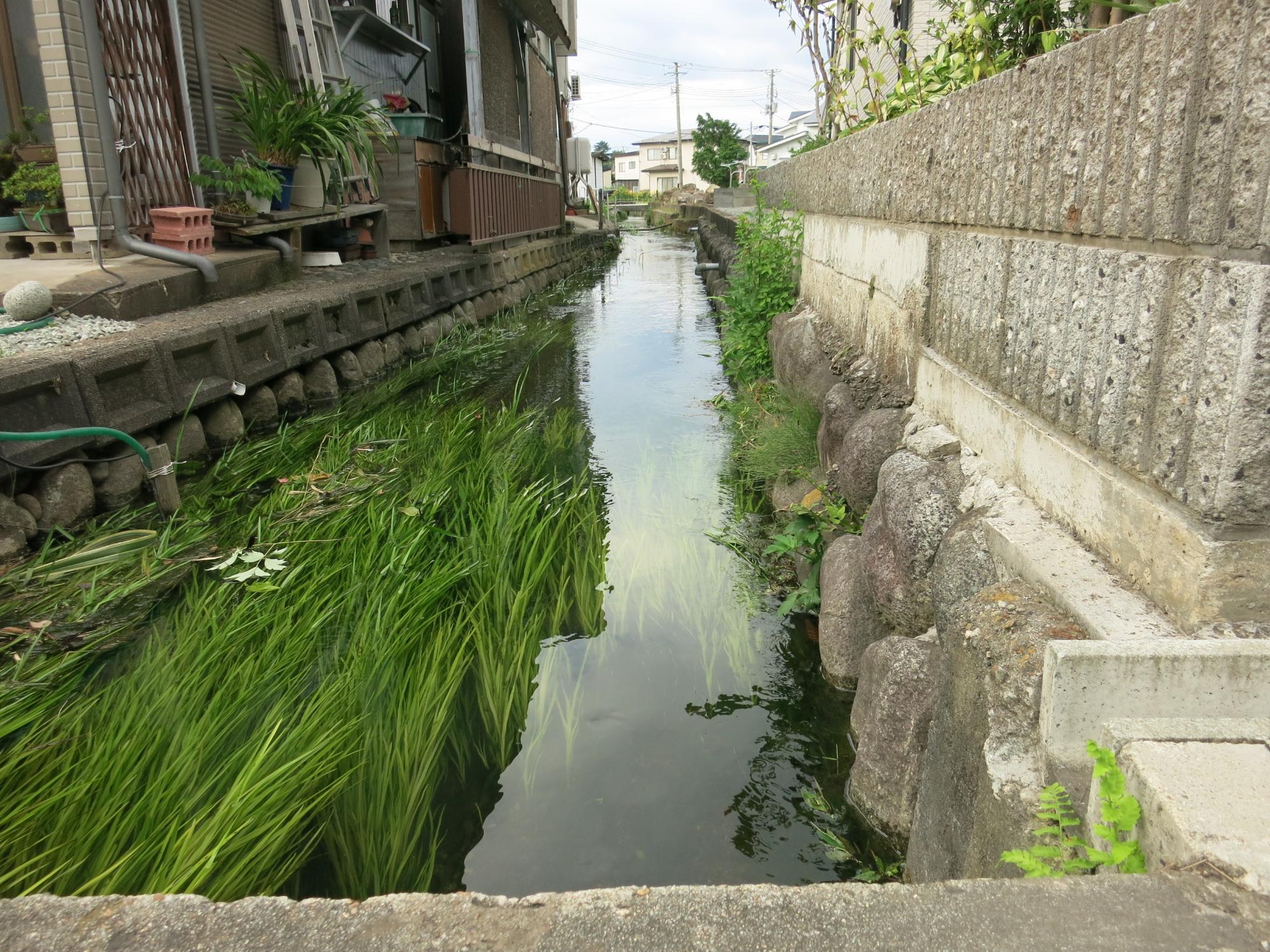 敷地境を流れる水路