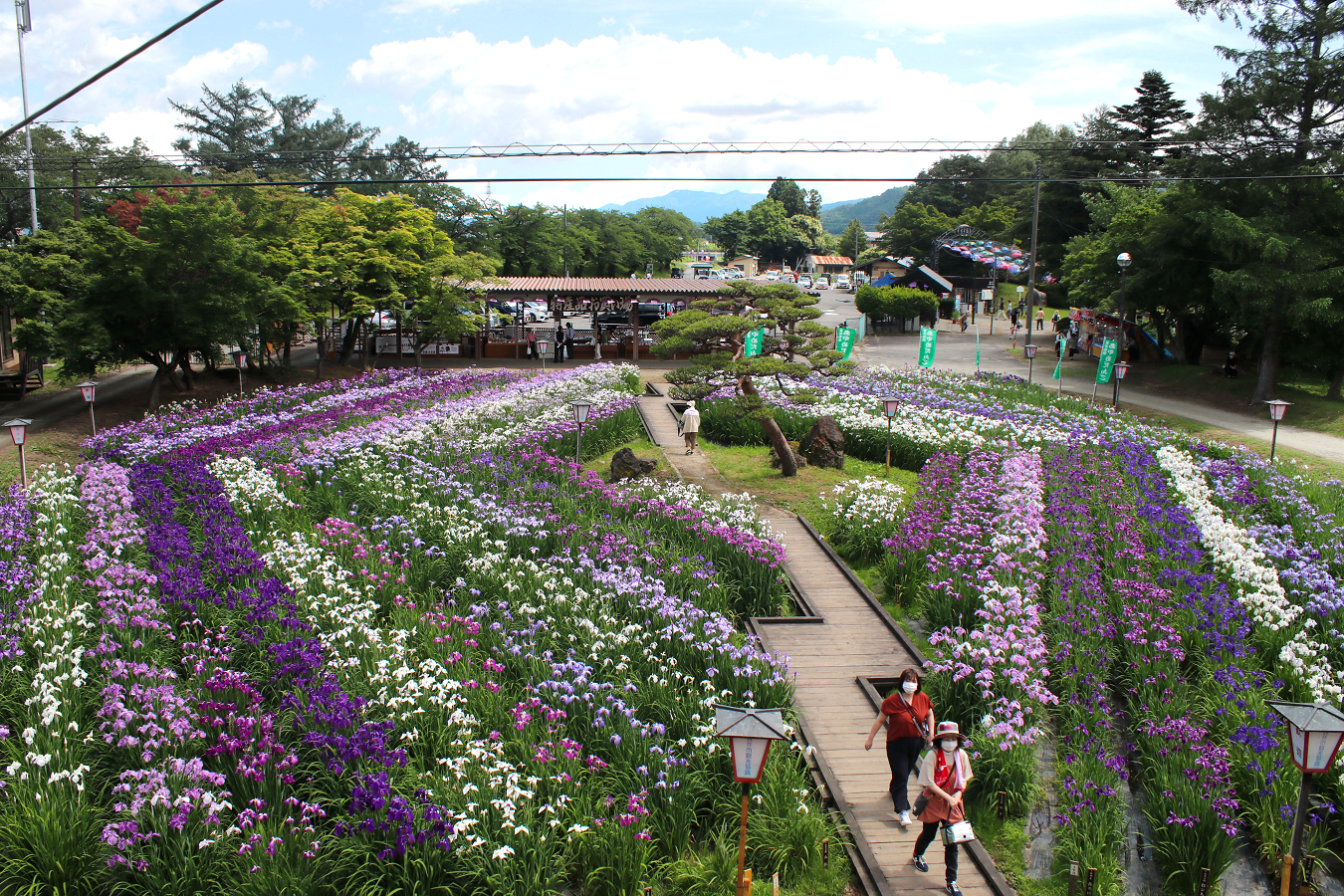 あやめ公園