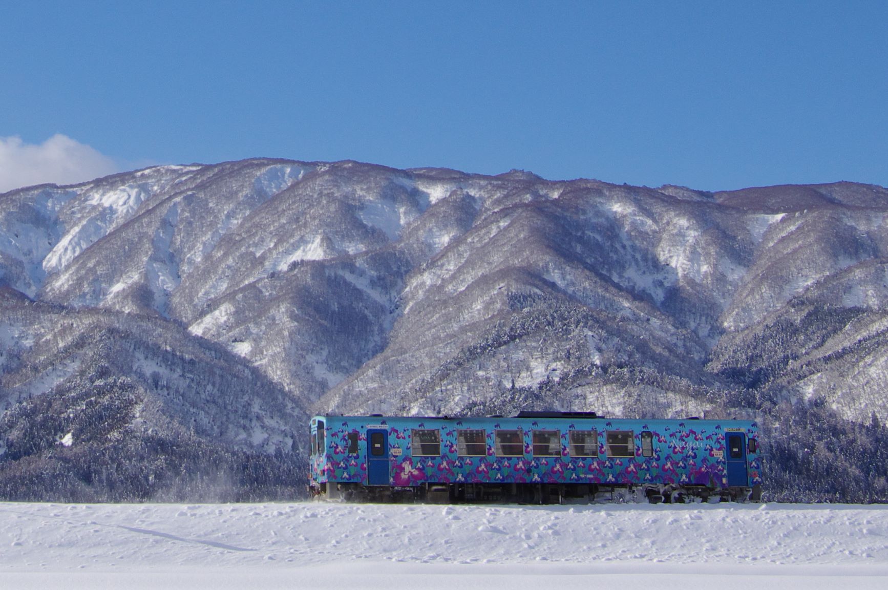 雪原駆ける