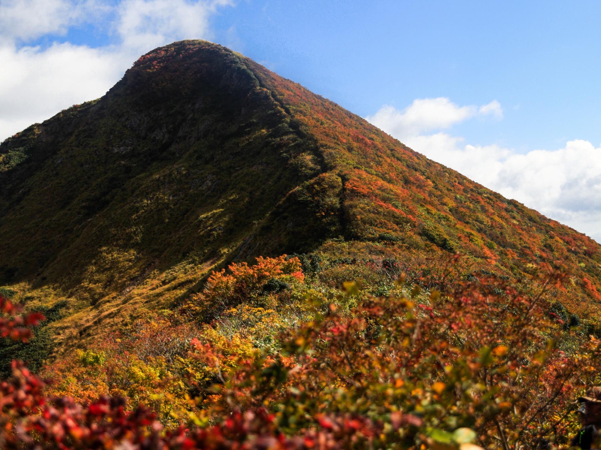 紅葉の様子