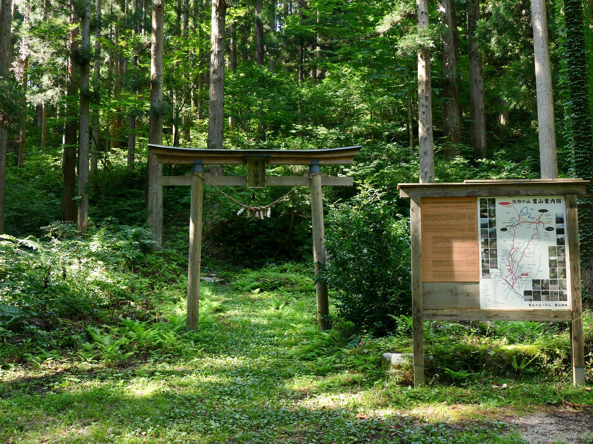 Hayama Jinjya Torii