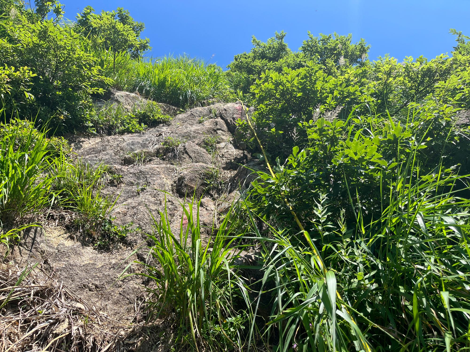 祝瓶山山頂付近の急登