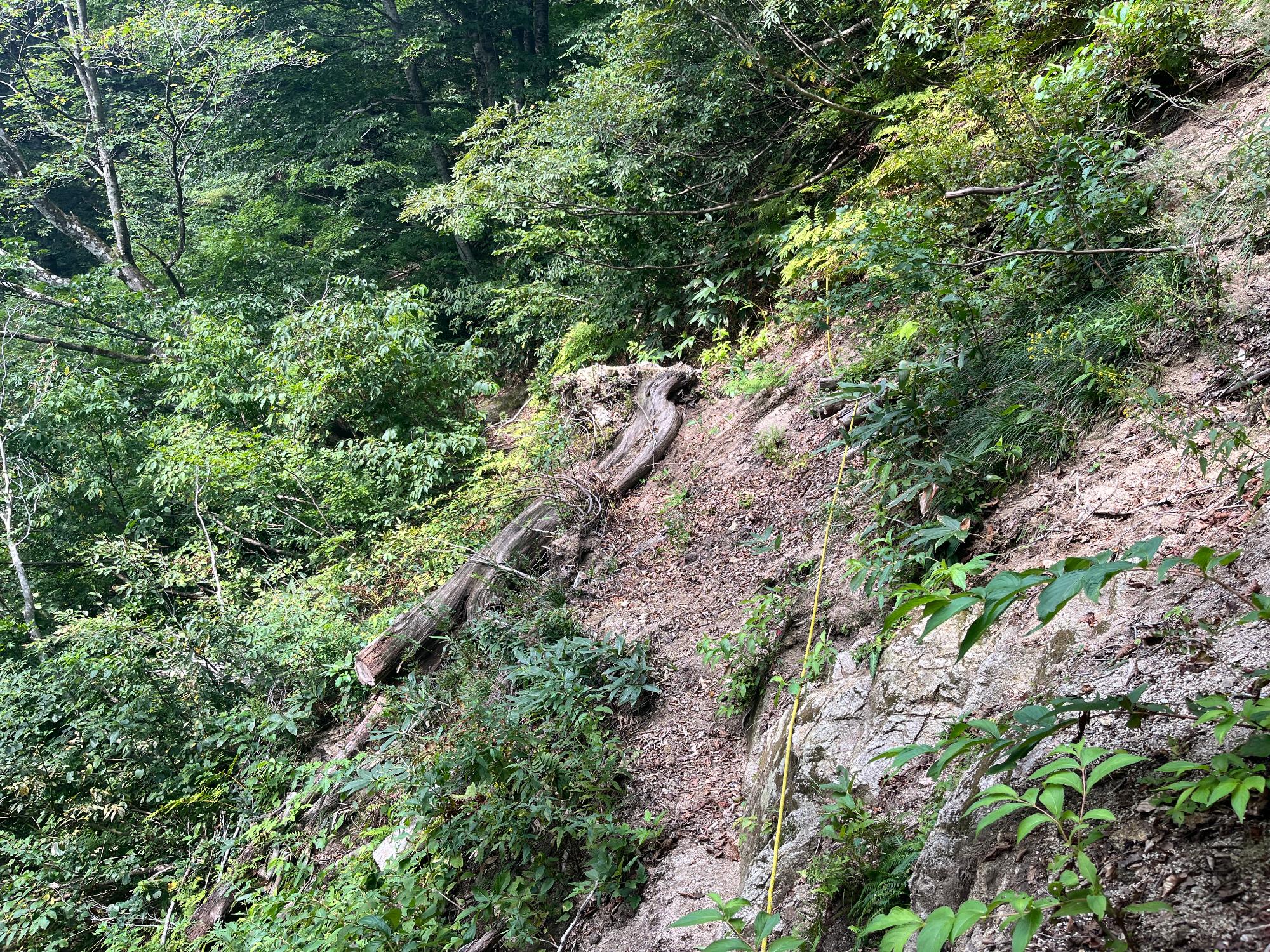 祝瓶山ロープ場