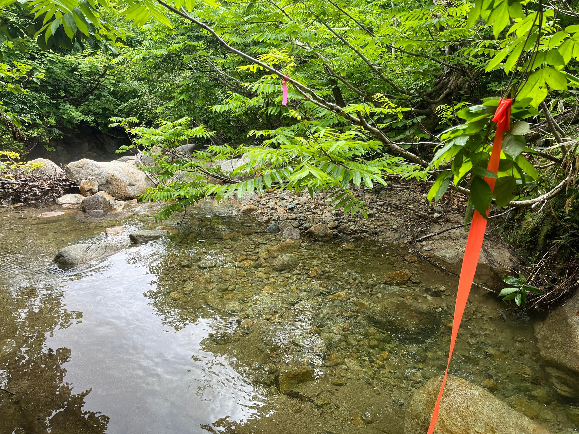祝瓶山の渡渉箇所