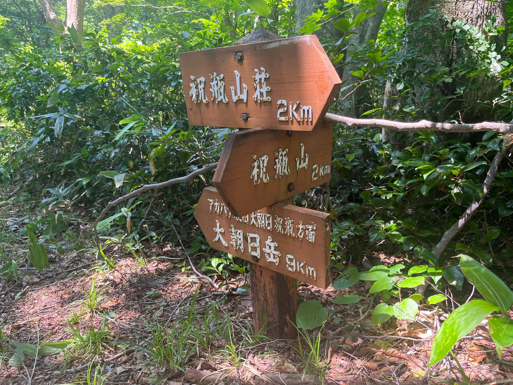 桑住平の分岐