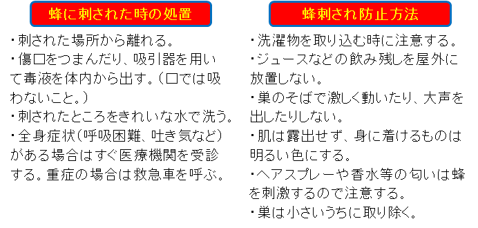 蜂に刺された時の処置と蜂刺され防止方法の画像