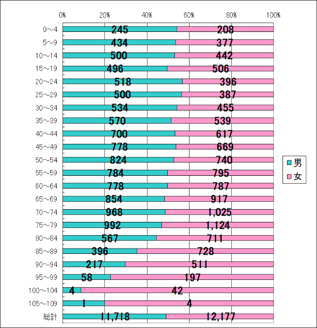 令和7年12月末日人口ピラミッド