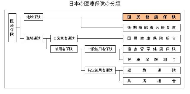 日本の医療保険の分類図